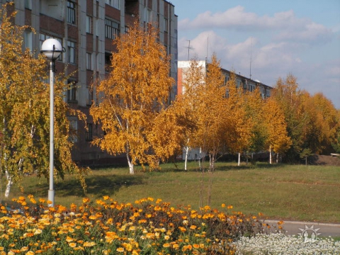 Листья юрги. Осень в Юрге. Юрга аллея Победы. Фотография города Юрги осенью. Улица осенняя город Юрга.