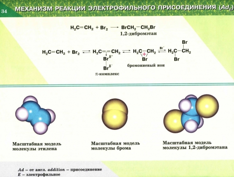 Механизм реакции пример. Алкены ионный механизм. Ионный механизм в органической химии. Механизм реакции электрофильного присоединения. Ионный механизм алкенов.