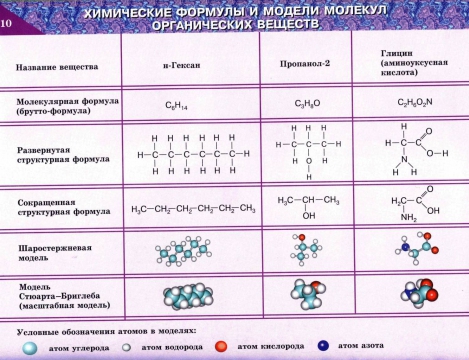 Укажите номер обозначающий на схеме вещество являющееся источником углерода для синтезируемых орг