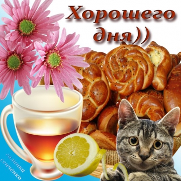 Прикольные надписи на утро вторника 30 фото Прикольные надписи на утро вторника 30 фото