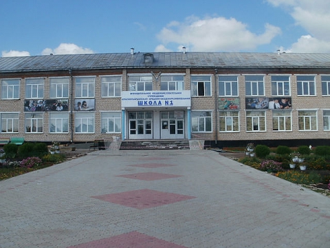 Родная школа сайт. Моя родная школа. Родная школа Тольятти. Платановая 1 Тольятти родная школа.