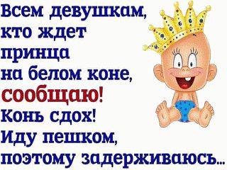 Мой принц на белом коне. Принц на белом коне где ты тварь. Принц на белом коне карикатура. Шутки про принца. Принц на белом коне мемы.