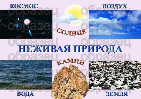 Приведи примеры неживой природы. Неживая природа 1 класс окружающий мир. Неживая природа в детском саду. Неживая природа в ДОУ. Тема недели Живая и неживая природа.