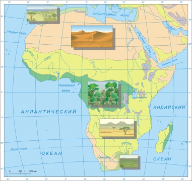 Природные зоны африки карта 7 класс