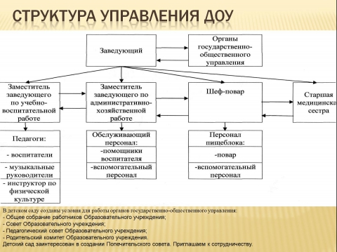 Структура службы доу схема