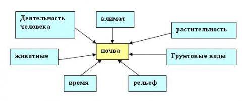 Схема факторы почвообразования география 6 класс